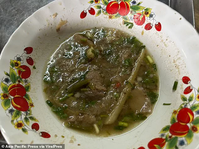 Tragic Mushroom Poisoning in Thai Village Sparks Foraging Caution