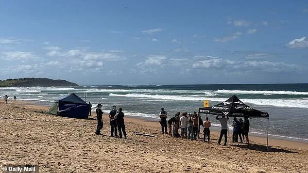Seasoned Surfer Attacked by Five-Metre Great White Shark at Dee Why Beach