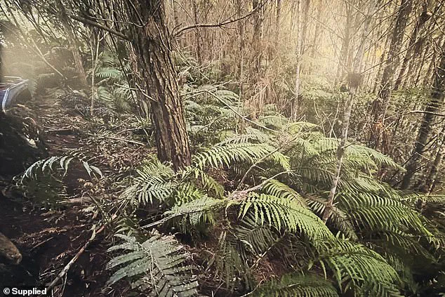 Authorities Release Photos of Remote Campsite Where Tom Phillips' Children Were Found Hours After Fugitive's Death