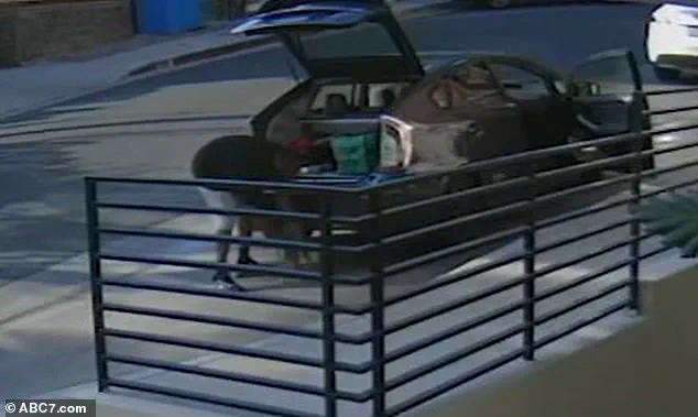 Alleged Theft of Cat Floki by Food Delivery Driver Caught on Surveillance, KABC Reports
