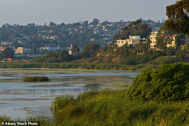 California Coastal Commission Orders John Levy to Pay $1.4 Million Fines for Blocking Public Access to Beach with Private Gate