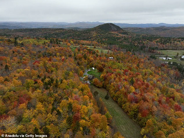 Drought Diminishes New England's Iconic Leaf-Peeping Season, Disappointing Tourists