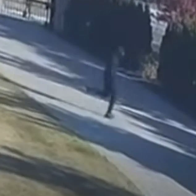 Security Footage Reveals Attack on Prominent Michigan Entrepreneur, Authorities Seek Suspect
