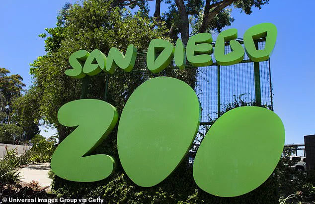 Gramma the Galapagos Tortoise, San Diego Zoo Icon, Passes Away at 141 After Battle with Age-Related Condition