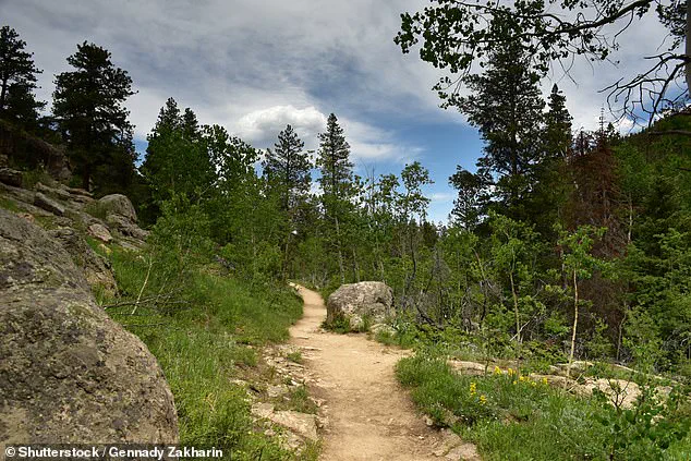 Late-Breaking: Woman Found Mauled to Death by Mountain Lion in Colorado Mountain Region on New Year's Day