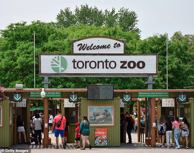 Toronto Zoo Tragedy: Kiko's Fatal Accident Shocks Global Conservation Community, Urges Safety Reforms