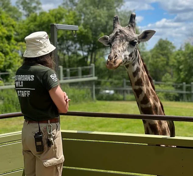 Toronto Zoo Tragedy: Kiko's Fatal Accident Shocks Global Conservation Community, Urges Safety Reforms