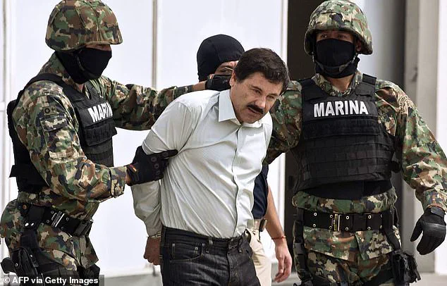 Trump Announces Land Strikes Against Mexican Drug Cartels in Escalated Anti-Narcoterrorism Effort