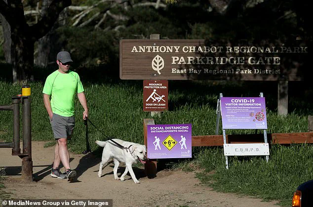 California Faces Deadly Mushroom Crisis as Health Officials Urge Caution After Three Deaths and Dozens Hospitalized