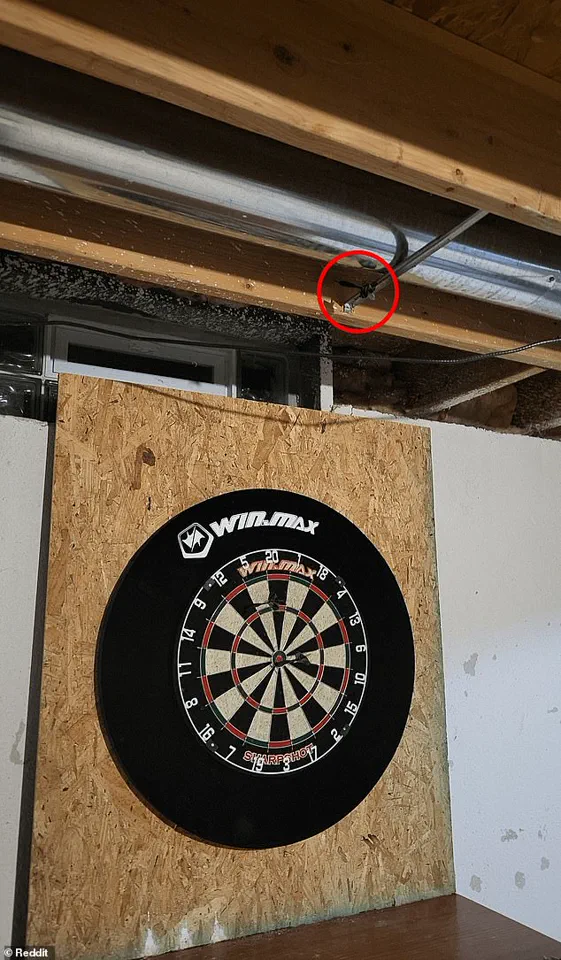 Internet Users Puzzle Over Missing Dart in Viral Reddit Photo Challenge