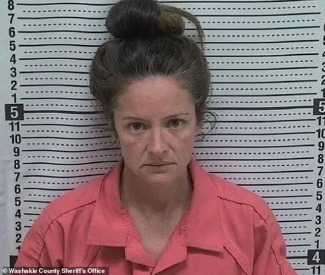 Mother Accused of Killing Son in Custody Battle Pleads for Release as Courtroom Divides Over Fate