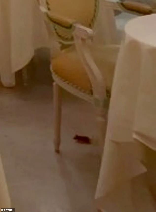 Ritz London Investigates After Mouse Incident During Afternoon Tea