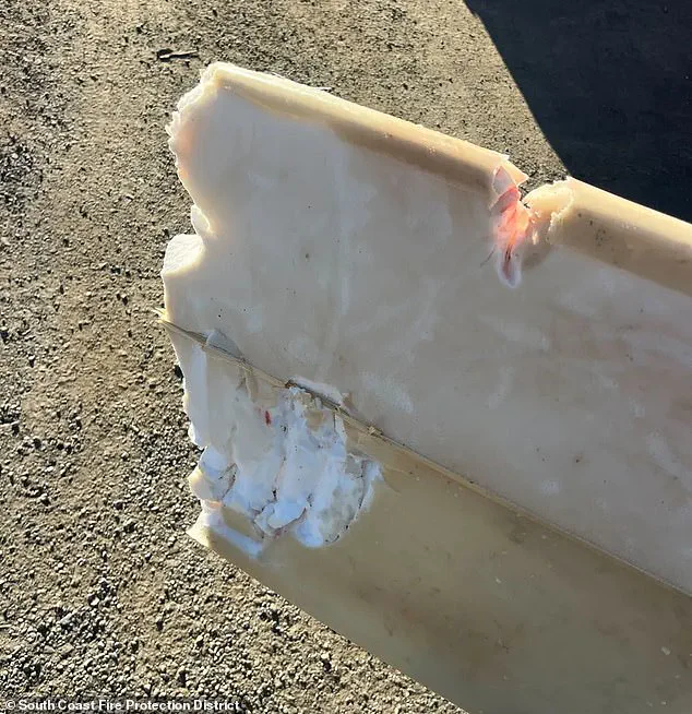 Shark Attack Sparks Debate on Coastal Safety Regulations
