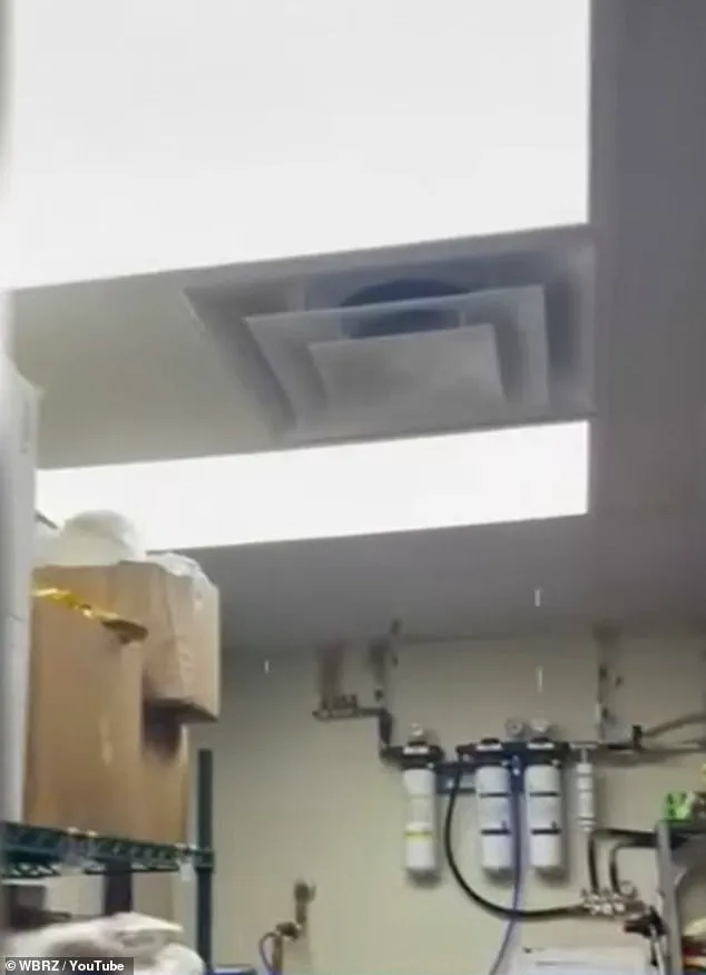 Urgent Health Concerns at Louisiana Wendy's: Employees Report Mold, Decay, and Unsafe Conditions Prompting Calls for Immediate Inspection