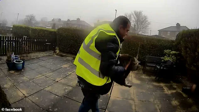 Amazon Delivery Driver Allegedly Steals Cat During Package Delivery in Elland, UK