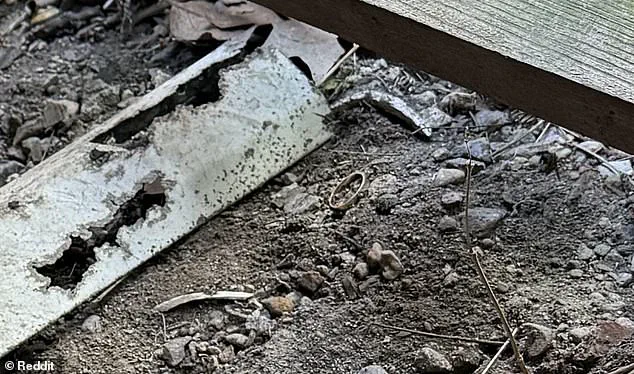 Desperate Husband Turns to Reddit After Losing Wedding Ring Beneath Deck
