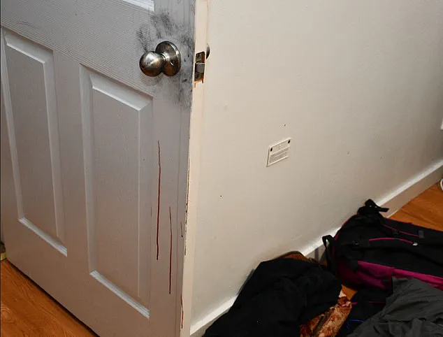 The Shocking Revelation Behind 2,800 Disturbing Images