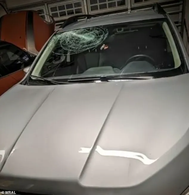 North Carolina Mother's Icy Road Encounter Sparks Debate on Driver Responsibilities and Road Safety