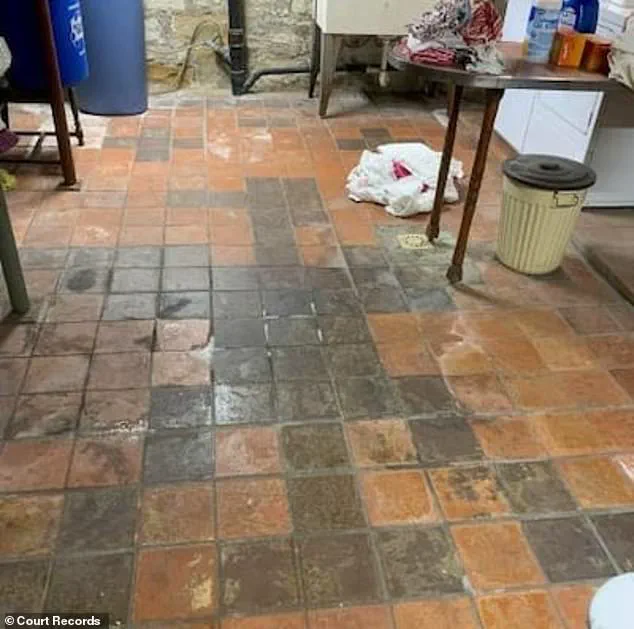 Hidden Nazi Symbol Sparks Legal Battle in Pennsylvania Home