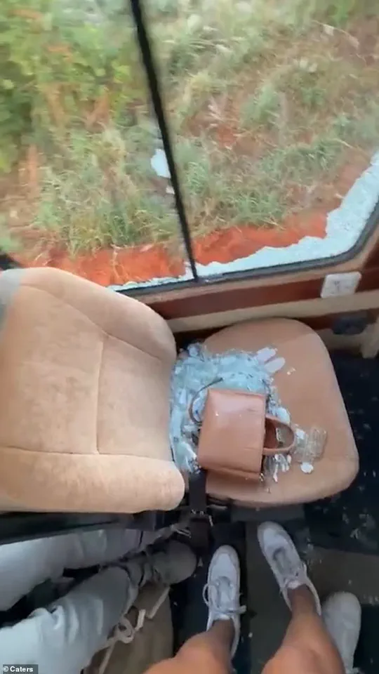 Chaos as Massive Elephant Strikes Tourist Vehicle in Tanzanian Safari Park, Leaving Passengers in Disbelief