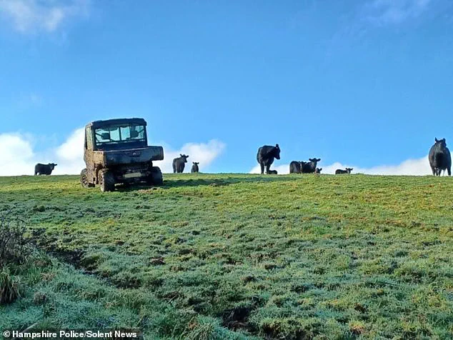 Firefighters Rescue Dog Walker Stuck in Tree After Encounter with Protective Cow on Isle of Wight