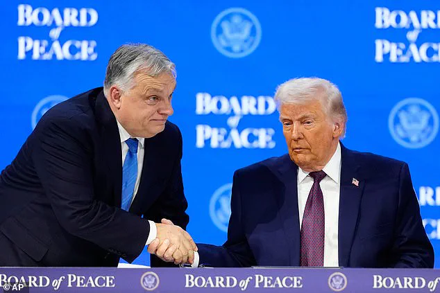 Trump's Board of Peace to Address Gaza Reconstruction in First Official Meeting