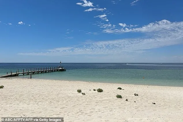 13-Year-Old Kayaker Survives 4-Hour Struggle After Being Swept Out to Sea
