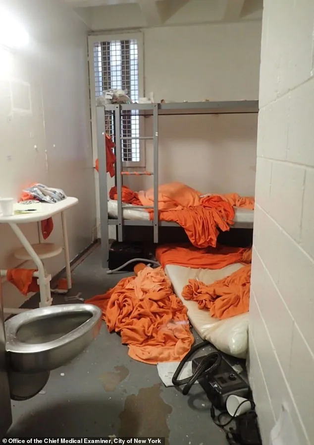 Flash of Orange and Government Files Fuel Doubts Over Epstein's Suicide
