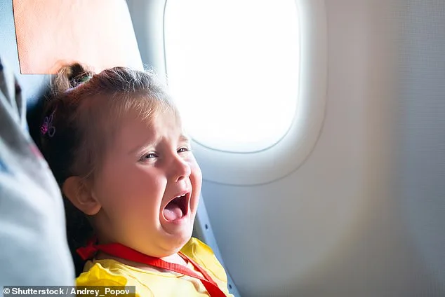 Passenger's Flight Kindness Backfires with Harsh Rebuke, Turns to Reddit
