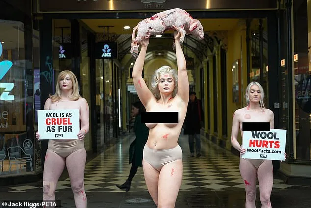 Redefining 'Wool': A Movement to Expand the Definition to Include Plant-Based Alternatives and Challenge Animal Exploitation