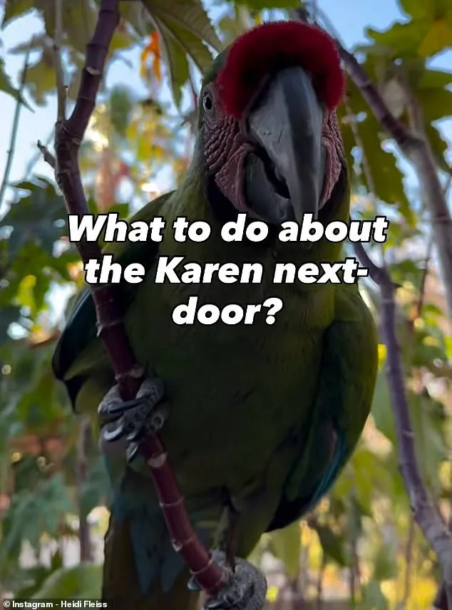Macaw Mayhem in Las Vegas Valley Sparks Neighborhood Battle Between Retired Owner and Former Hollywood Icon