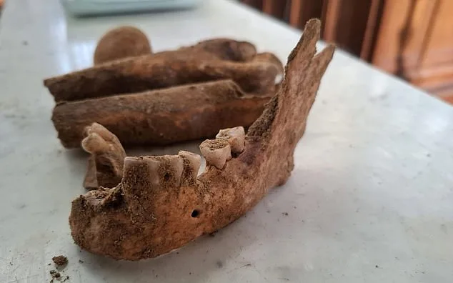 Unearthing D'Artagnan: Fact or Folklore?