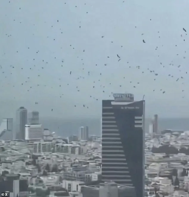 Tel Aviv's Mysterious Crow Swarm Ignites Apocalyptic Fears and Biblical Prophecy Debates