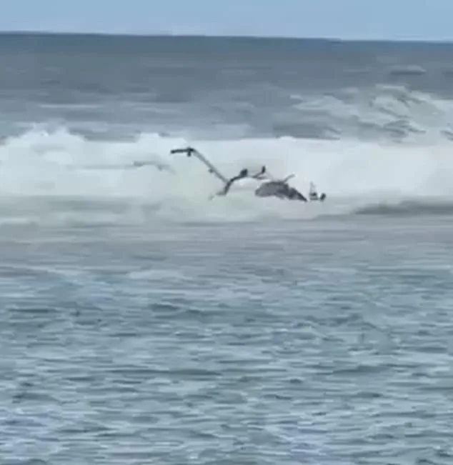Tourist Helicopter Crash on Kaua'i Kills Three, Injures Two Near Kalalau Beach