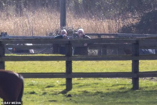 Former Duke of York Defies Riding Ban Amid Misconduct Probe