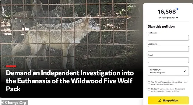 Furious Adopters Condemn Wildwood Trust's Euthanasia of Wolves Amid 'Last Resort' Claims