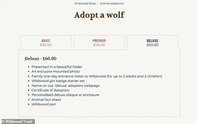 Furious Adopters Condemn Wildwood Trust's Euthanasia of Wolves Amid 'Last Resort' Claims