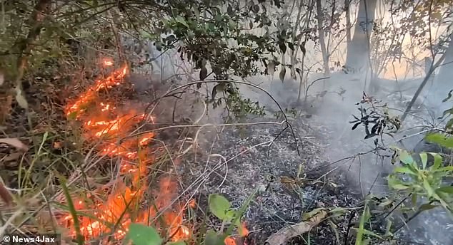 Hundreds of Amtrak Passengers Stranded 24 Hours by Florida Wildfire