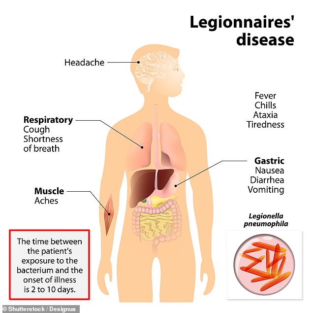 Lung disease from AC systems surges across US as heat rises.