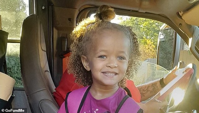 Dog Owner Sentenced to Five Years for Daughter's Death