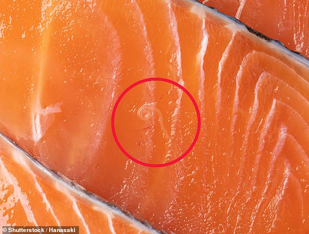 Experts Warn UK Salmon Consumers About Hidden Parasite Dangers
