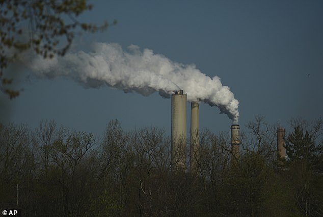 One Hour of Polluted Air Damages Elderly Brain and Lungs