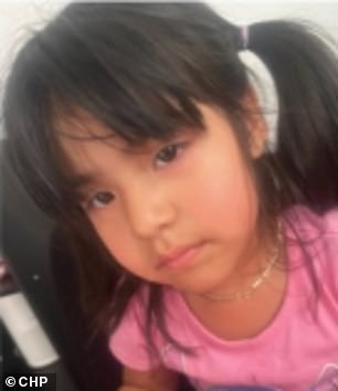 Police Issue Amber Alert for 4-Year-Old Girl After Mother's Murder