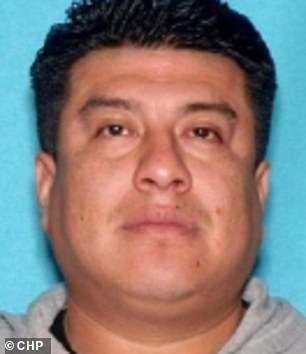 Police Issue Amber Alert for 4-Year-Old Girl After Mother's Murder